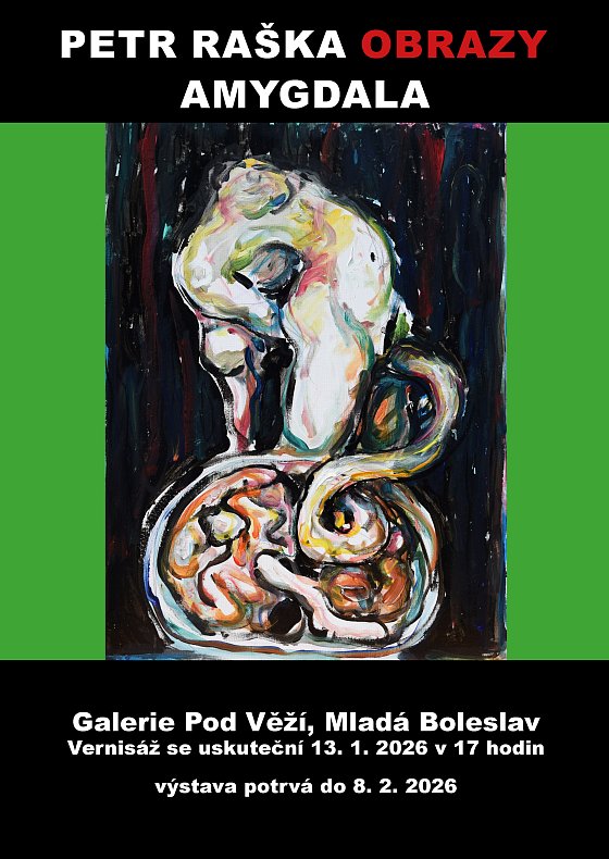 Petr Raška - Obrazy Amygdala